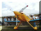 yellow F1 nose.jpg (206080 bytes)